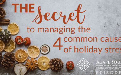Episode 24: The Secret to Managing 4 Common Causes of Holiday Stress