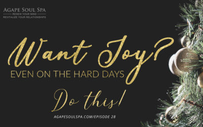 Episode 28: Want Joy, Even on the Hard Days? Do This!